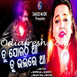 Tu Jauthi Tha Tu Bhalare Tha - Sad Song